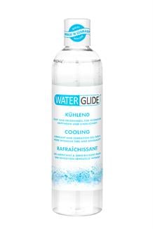 Waterglide 300Ml Cooling